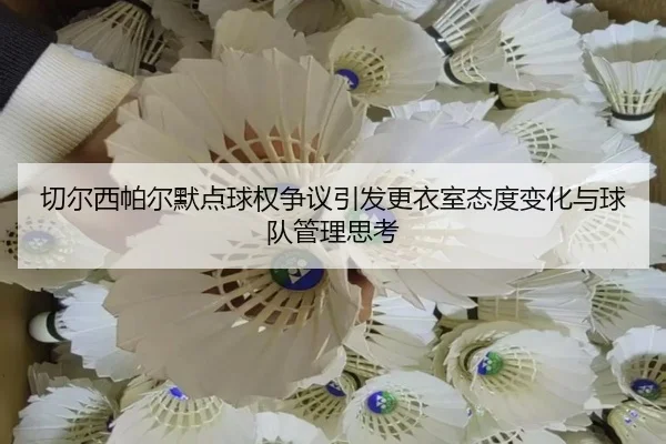 切尔西帕尔默点球权争议引发更衣室态度变化与球队管理思考